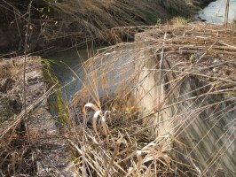san-crispo-river-08 (20).jpg